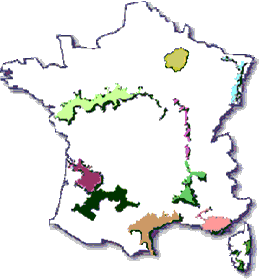 Terroir a vin des regions de France, guide des vins de france